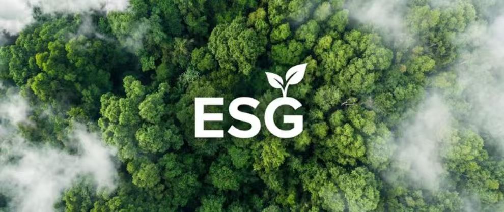 ESG 汇报假造与信息披露实务课程